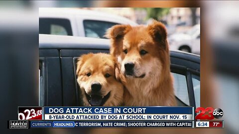 Family suing Bakersfield City School District over dog attack at Wayside Elementary School set to be in court in November
