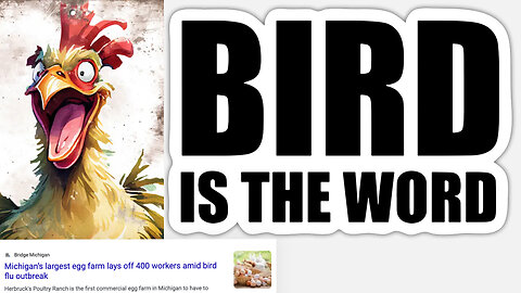 Bird Flu | Bird Is the Word? CDC Wastewater Dashboard to Track Bird Flu Virus Spread? “Bird Flu Jumps from Cow to Human, 1st Case” + "Bird Flu Outbreak Causes Mass Layoff At Michigan Egg Supplier." + Gold Hits $2,414.40
