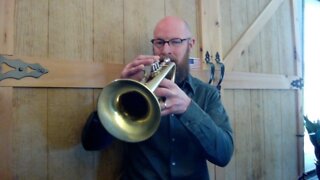 Thane 'Standard Pro Series Trumpet'!