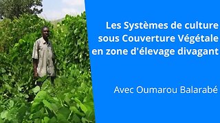 Les Systèmes de culture sous Couverture Végétale en zone d'élevage divagant, Oumarou Balarabé
