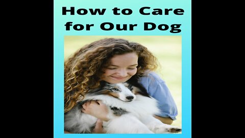 How To Care For Our Dog