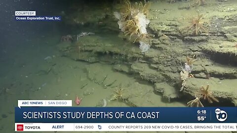 Scripps researchers explore depths of California coast