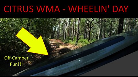 Citrus WMA - Wheeling and Having Fun. Colorado ZR2 Bison AEV.