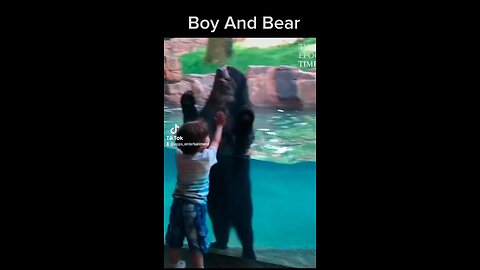 Boy And Bear