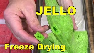 Freeze Drying Jello and V8 Juice