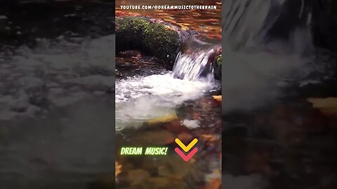 🌿 Tai Chi Sonido de agua fluyente para encontrar balance