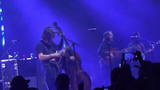 Billy Strings - A Robin Built A Nest On Daddy’s Grave (Knoxville Civic Center 2.19.22)