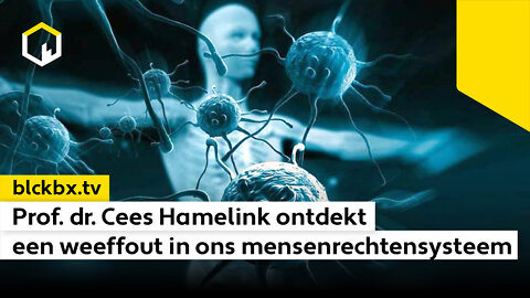 Prof. dr. Cees Hamelink ontdekt een weeffout in ons mensenrechtensysteem