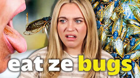 You Will Eat Ze Bugs & Be Happy | Isabel Brown LIVE