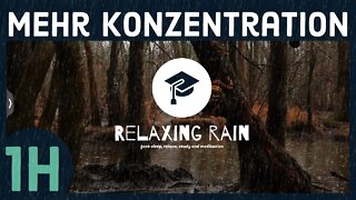 Relaxing and concentration-enhancing soundscape: light rain in the forest | 1 hour