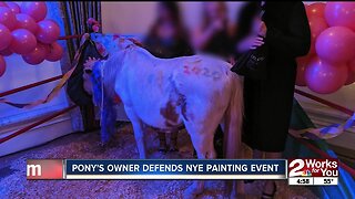 Pony's owner defends NYE painting event