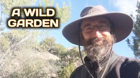 A Wild Garden