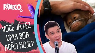 Igor Guimarães fala sobre AGENDA DE SHOWS E DRAMA ATUAL DO MACAQUINHO BARILOCHE