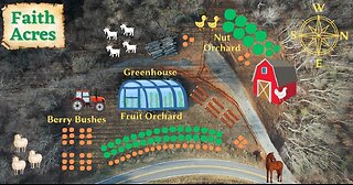 Orchard Tour: 1 year after planting