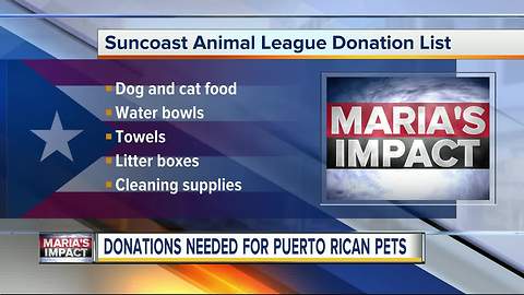Donations needed for dozens of dogs and cats rescued from Puerto Rico