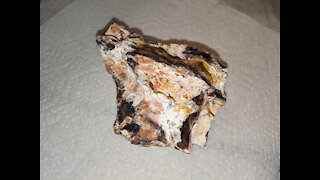 Using Acid to Dissolve Limestone from Fossil