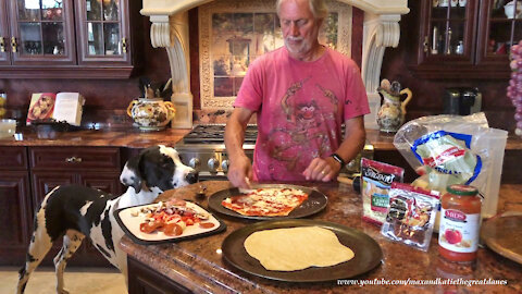 Great Dane Joins In Funny Comedy Of Errors Pizza Making Lesson