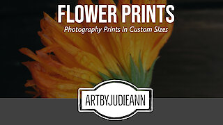 Flower Prints ~ ArtByJudieAnn