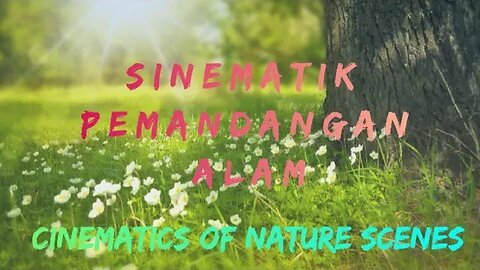 SINEMATIK PEMANDANGAN ALAM | CINEMATIC NATURE VIEW | BELOVED INDONESIA NATURE
