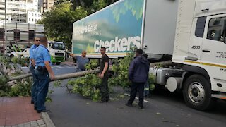 SOUTH AFRICA - Cape Town - Tree branch falls onto Checkers truck (Video) (rii)