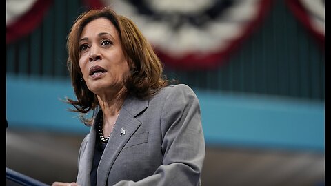 Dem Mega Donor Dunks All Over Kamala Harris and 'Selection Rather Than Election' Process