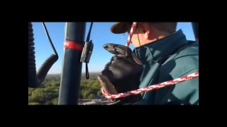 Albuquerque Balloon Fiesta 2021 Flying with Polar Dawn Balloon! (Sorry, no audio)
