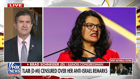 Jewish Democrat Sides With Republicans On Rashida Tlaib Censure: 'Record Needs To Be Corrected'