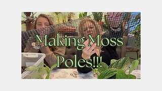 🪴 Making Moss Poles! Part 1