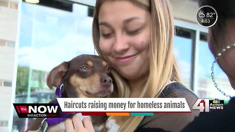 Haircuts raise money for homeless animals