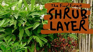 12 Edible Shrubs To Fill Out Your Tropical Food Forest