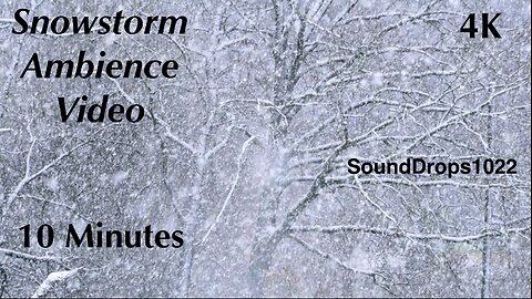 Winter Wonderland: 10 Minutes of Snow Ambience