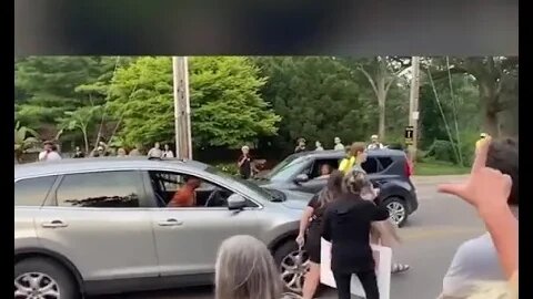 Driver pushes protester out of the way with their vehicle at Toronto's High Park