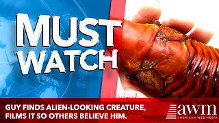 Guy Finds Alien-Looking Creature, Films It So Others Believe Him. Quickly Goes Viral [video]