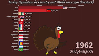 🦃 Turkey Population by Country and World since 1961