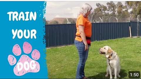 Free dog training series :-Lestion 1 how to teach your dog to sit and drog