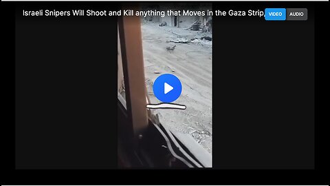 Israeli Snipers shooting and killing anything that moves in the Gaza Strip.