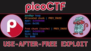 Exploiting a Use-After-Free (UAF) Vulnerability - "Unsubscriptions Are Free" Pwn Challenge [PicoGym]