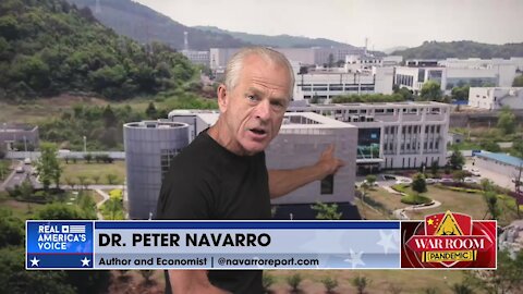 Navarro Unleashes on Fauci: 'Nail This SOB'