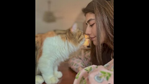 Paws and reflect on the joy of being loved by a cat