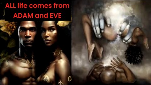 ALL life comes from ADAM and EVE