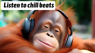 Taco Bell Lounge | Calm Relaxing Chill Beats [4K]