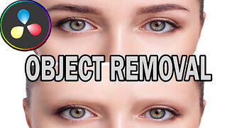 How To Remove Object In Davinci Resolve