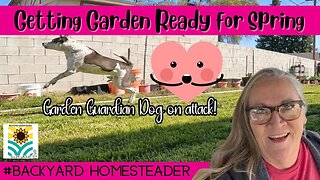 Getting Garden Ready for Spring | Quick Garden Update