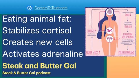 STEAK & BUTTER GAL 4 | Eating animal fat: Stabilizes cortisol Creates new cells Activates adrenaline