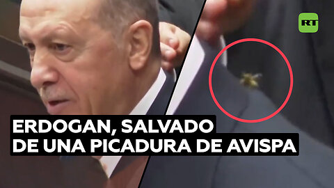 Guardia de seguridad ‘salva’ a Erdogan de picadura de avispa