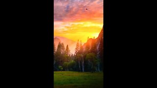 Birds Singing - Sunset & Beautiful View • Link Below