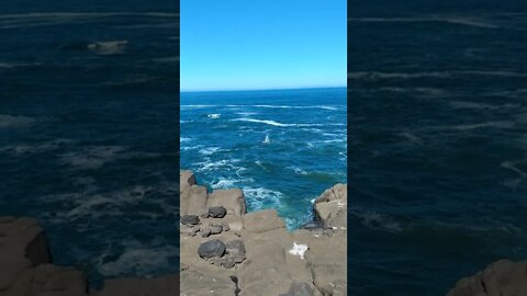 Rainbow spouting from Whale at Boiler Bay