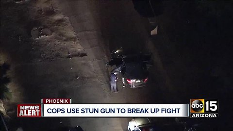 Cops use stun gun to break up Phoenix fight