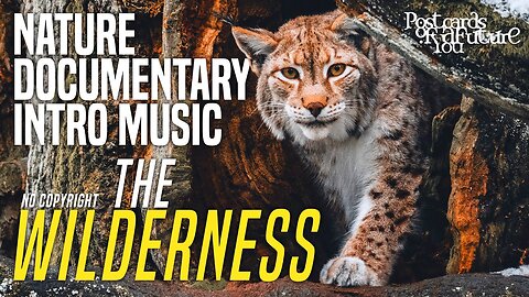 Nature Documentary Intro Music: The Wilderness - Wildlife Documentary Orchestral Music