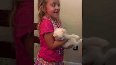 Lucky Girl Gets Surprised With Two Kittens For Her Birthday